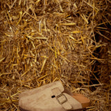 AUTUMN CLOGS TAUPE