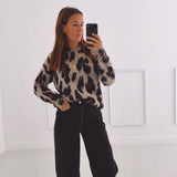 CAPRICE TAUPE LEOPARD PRINT PULLOVER