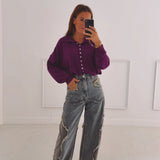 AVALON PURPLE BUTTON PULLOVER