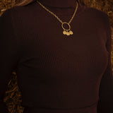 DEVIKA BROWN RIBBED TURTLENECK LONGSLEEVE SHIRT