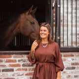 ZINNIA BROWN FALL DRESS