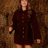 STETSON BROWN SUEDE DRESS