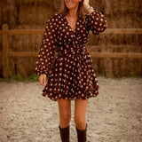 SKYE BROWN POLKADOTS DRESS